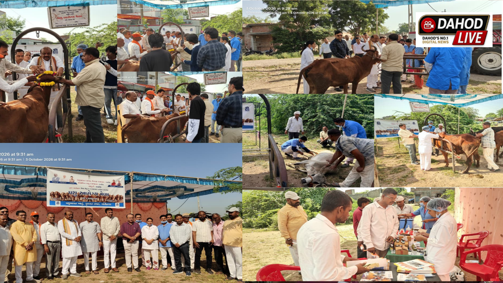રેંટિયા ગામે સેવાસેતુ ૨.૧ ગ્રામ્ય કાર્યક્રમ અંતર્ગત પશુ આરોગ્ય મેળો યોજાયો રેંટિયા ગામે સેવાસેતુ ૨.૧ ગ્રામ્ય કાર્યક્રમ અંતર્ગત પશુ આરોગ્ય મેળો યોજાયો